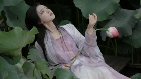 网红怀四胎